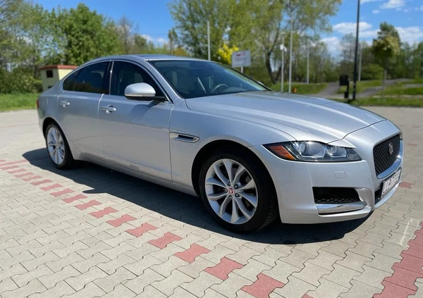 Jaguar XF cena 89000 przebieg: 93000, rok produkcji 2018 z Lubartów małe 781